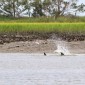 Hunting Island State Park