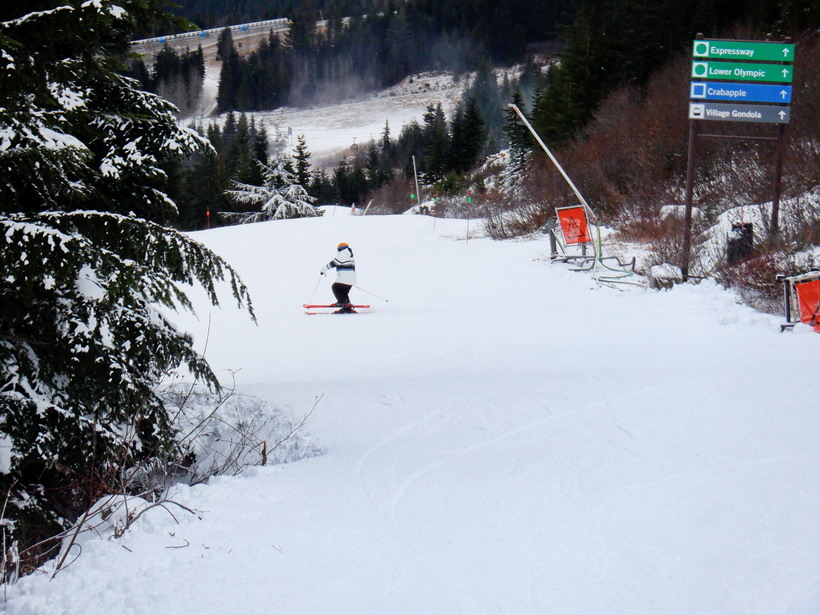View of Expressway on route to Whistler Gondola mid station and Olympic Park Foxy Hollow run in distance with no snow opening weekend 2019.