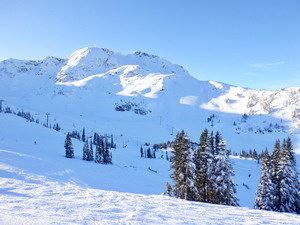 The view up to the Whistler peak, if you look close enough you might see all the controlled slides from ski patrol trying to get it ready to open.