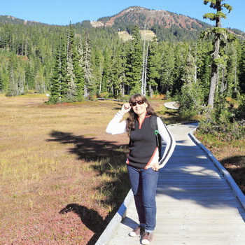 The accessible trail at Strathcona Provincial Park, accessed from the Mount Washington Parking Lot area.