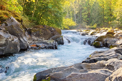 Skutz Falls area of the Cowichan River Provincial Park.