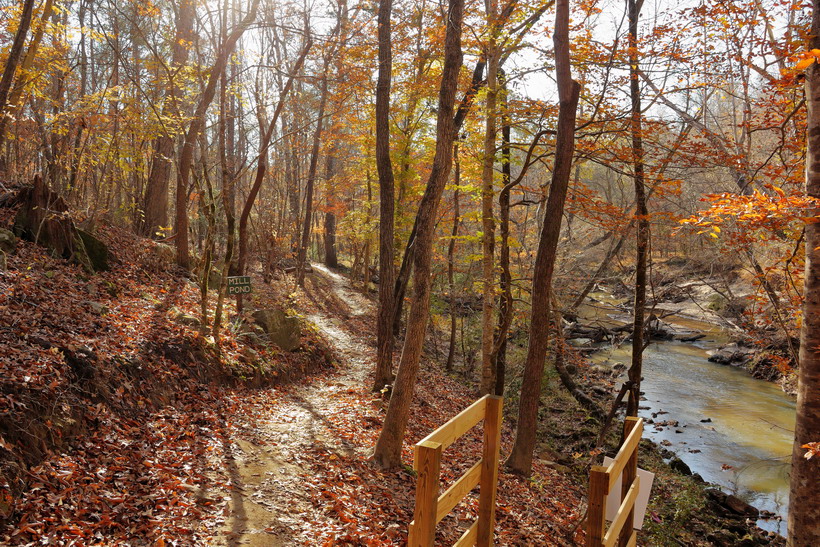 Beautiful fall ride in late November along the Mill Pond trail at Anne Springs Close Greenway