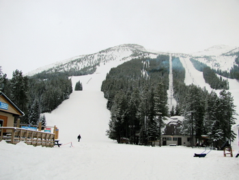 The morning after I arrived, looking up at the hill for my first time.