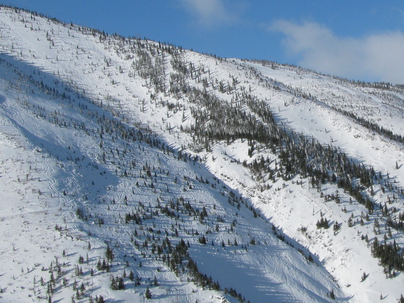 Castle Mountain Ski Hill, Alberta -- Upper mountain crop showing tracks of wide open spaces.