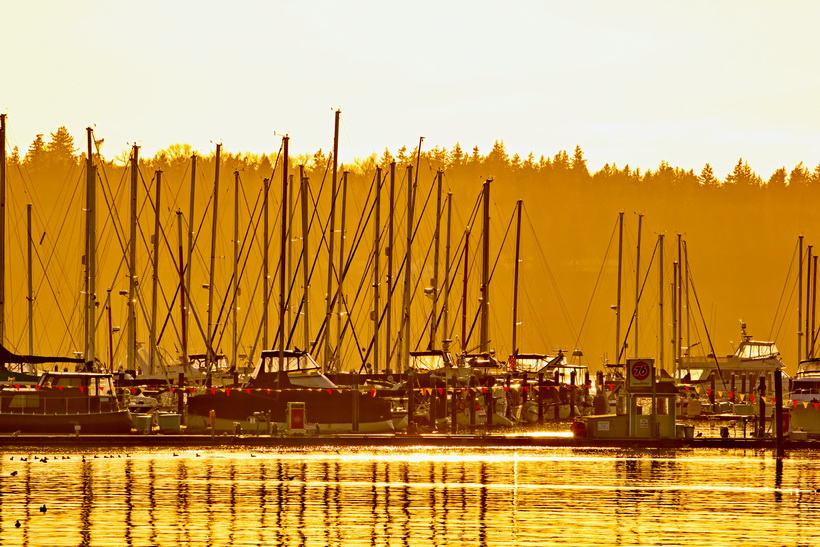 The sailboats in the sun at Blaine, Washington.