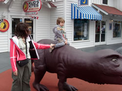 Ride a dinosaur?