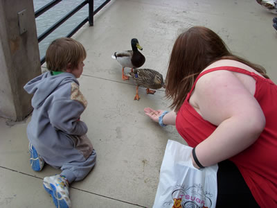 Feeding the ducks.
