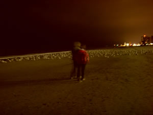 After dinner walk along the beach amid the seagulls.
