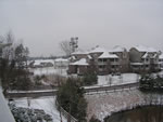 Snow everywhere I look.